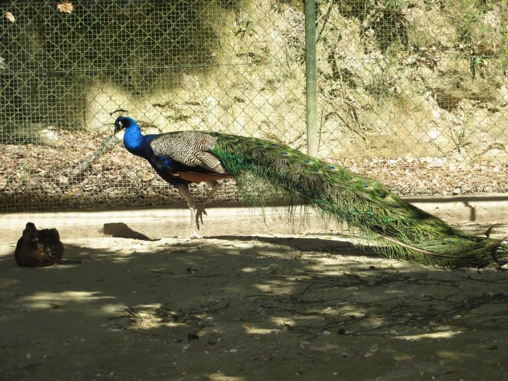Encosta Dos Tuneis - Turismo E Lazer Sever do Vouga Exterior photo